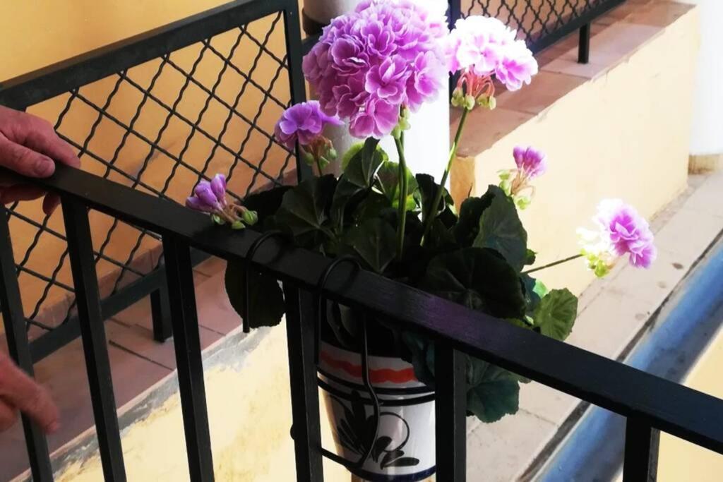 דירות סביליה El Patio De San Bernardo מראה חיצוני תמונה