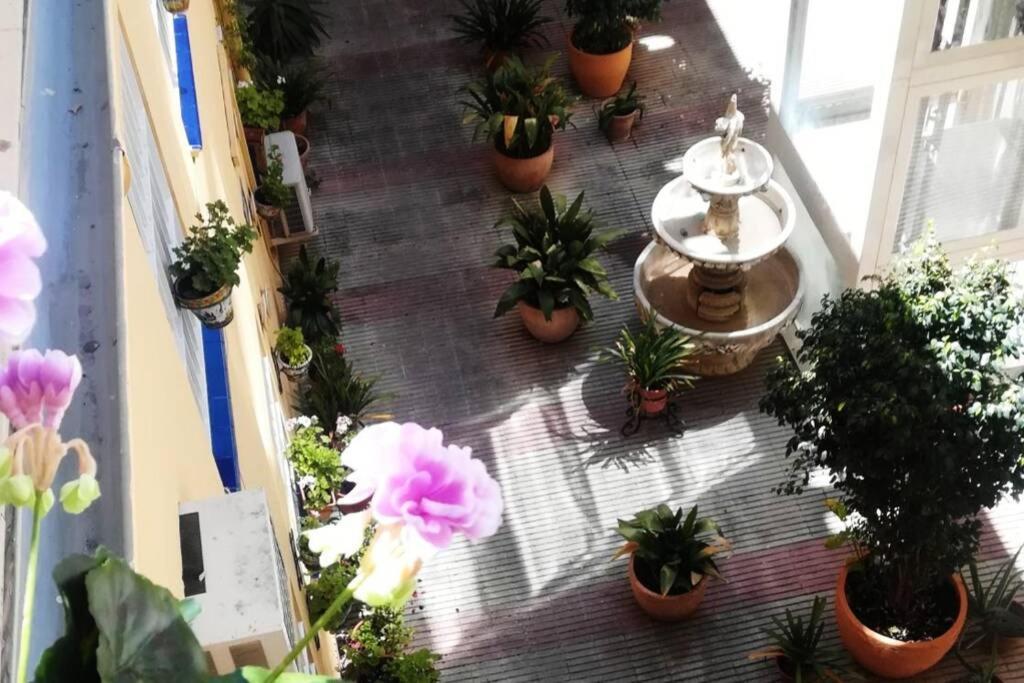 דירות סביליה El Patio De San Bernardo מראה חיצוני תמונה