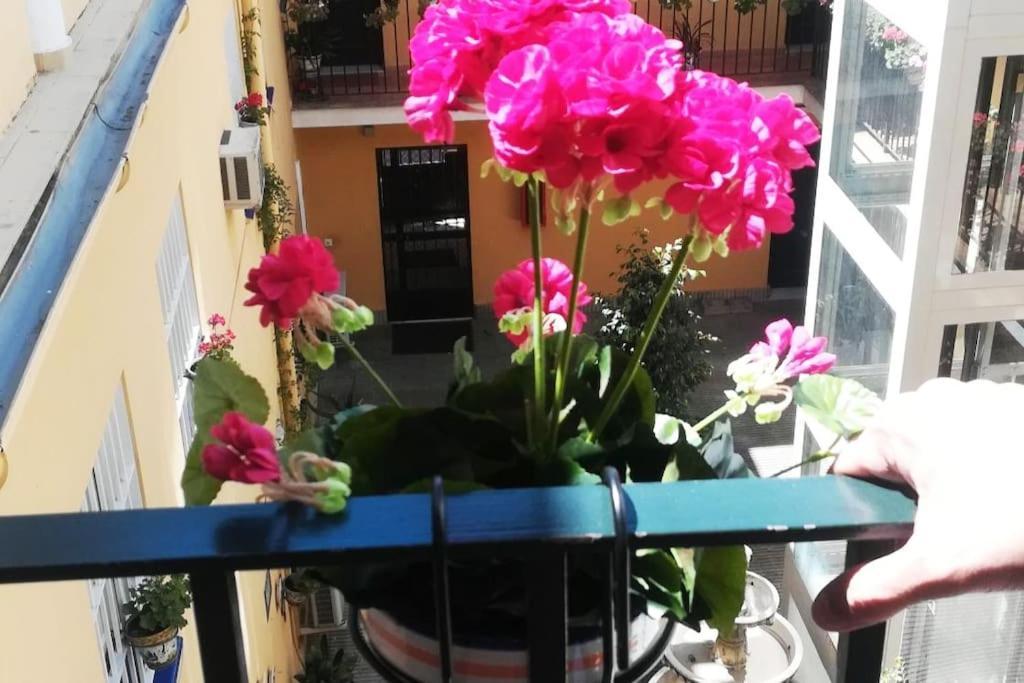 דירות סביליה El Patio De San Bernardo מראה חיצוני תמונה